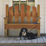 Custer Porch Puppy 2 Art Print
