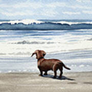 Dachshund at the Beach Art Print