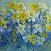 Daffodils Dance Art Print