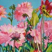 Dahlias Victoria Art Print