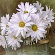 Daisies In Antique Watering Can Art Print