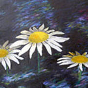 Daisies Art Print