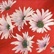 Daisy Chain Art Print