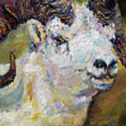 Dall Sheep Ram Oil Painting Art Print