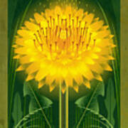 Dandelion Floral Poster Art Print