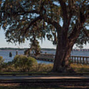 Daniel Island Salt Dock Art Print