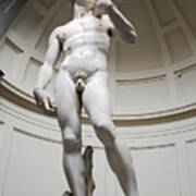 David By Michelangelo Art Print