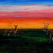 Deer Dawn Art Print