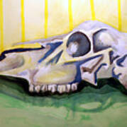 Deer Skull  One Art Print