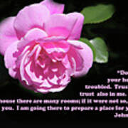 Delightful Pink Rose John 14 V 1-2 Art Print