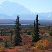 Denali From Near Wonder Lake Art Print