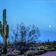 Desert Full Moon Art Print