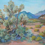 Desert Light Smoke Tree Art Print