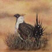 Desert Sage Grouse Art Print