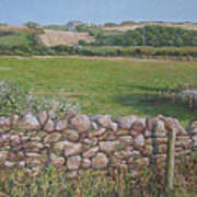 Devon Field And Drystone Wall Art Print