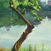 Dhanmondi Lake 03 Art Print