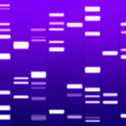 Dna Purple Art Print