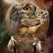 Dream Catcher - Spirit Of The Owl Art Print