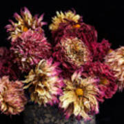 Dried Dahlias From The Garden Art Print