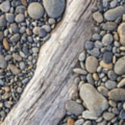 Driftwood On Rock Covered Beach Art Print