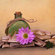 Driftwood With Daisy Art Print