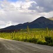 Driving The Denali Highway Art Print