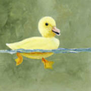 Duck On The Water Art Print