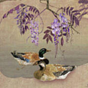 Ducks Under Wisteria Tree Art Print