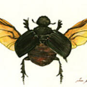 Dung Beetle Art Print