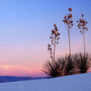 Dusk At White Sands Art Print