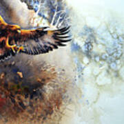 Eagle Descending Art Print