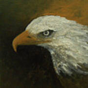 Eagle Spirit - Trust Art Print