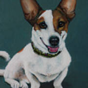 Eddie The Jack Russell Terrier Art Print