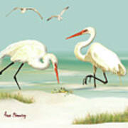 Egrets Crabbing Art Print
