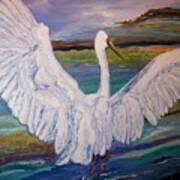 Egrets Art Print