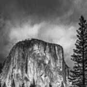 El Cap With Pine Art Print