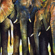 Elephant Herd Art Print