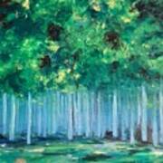 Enchanted Poplars Art Print