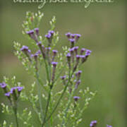 Enjoy The Simple Things Verbena Wildflowers Art Print