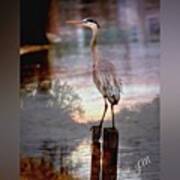 #enlight #heron #sunset #bayou Art Print
