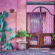 Entrada - Barrio Historico - Tucson Art Print