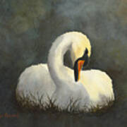 Evening Swan Art Print