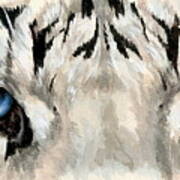 Royal White Tiger Gaze Art Print