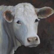 Fair Lady Cow Painting Art Print