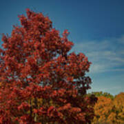 Fall Colors, Ashville, Nc Art Print