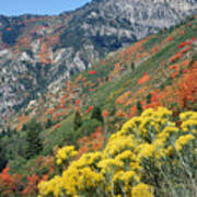 212m42-fall Colors Near Mt. Timpanogos Art Print