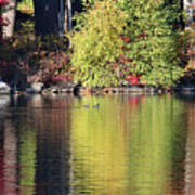 Fall Reflections On Woodbury Pond, Maine Art Print