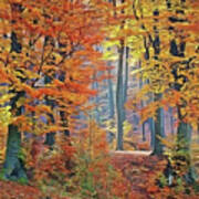 Fall Woods Art Print