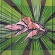 Fantail Palm Plateau - Flat Detail Section Art Print