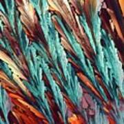 Feathers Of Crystal 4 Art Print